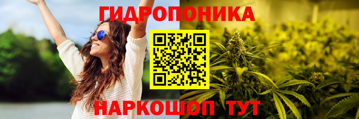 Каннабис план Снежинск